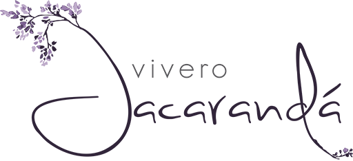 Vivero Jacarandá